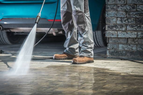 Best Roof Washing  in Paulding, OH